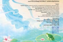 LA GRENOUILLE ET LE PIPA VOYAGEUR
