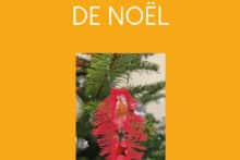 ATELIER DE NOËL